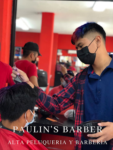 Paulin's Barber