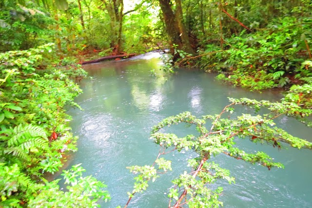 Rio Celeste y Los Teñideros