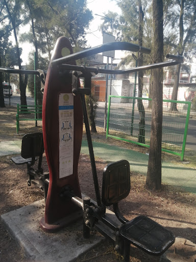 gimnasio Urbano CDMX - Thumbnail