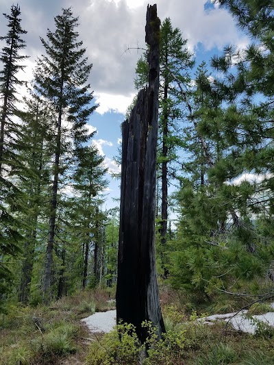 Shoshone Park Kitchen