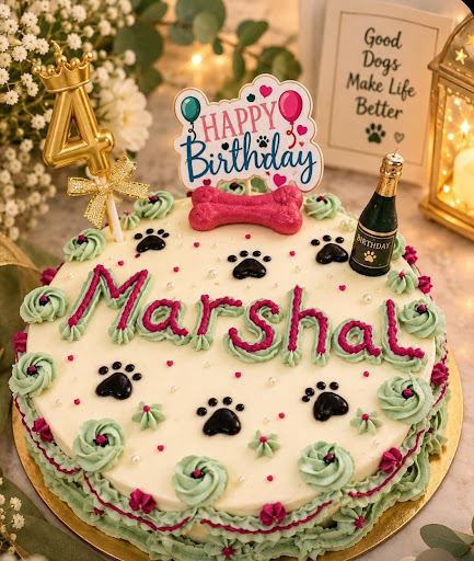 Dog Cake Near Me – DCC Dog Cake Carnivals post image