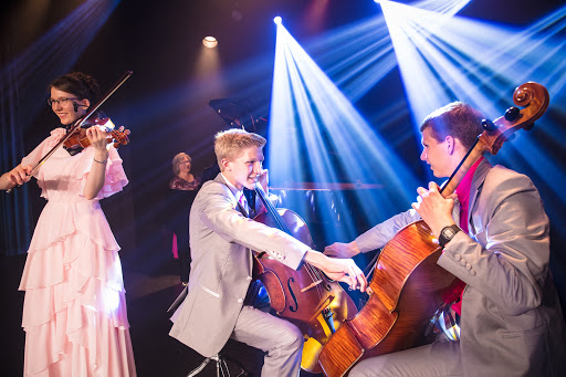 The Johnson Strings - Visual