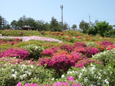 寒河江公園つつじ園 展望広場 Yamagata 81 237 3380 Japan