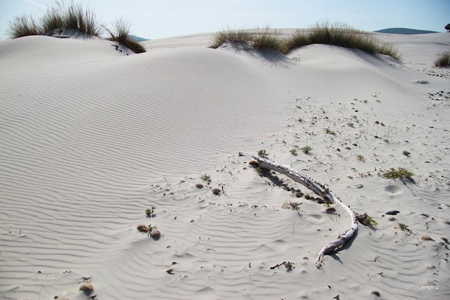 Spiaggia delle Dune