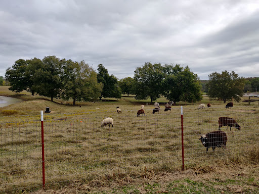 Shepherd's Cross - Visual