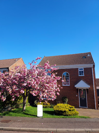 Dunmore Physiotherapy and Healthcare - Thumbnail