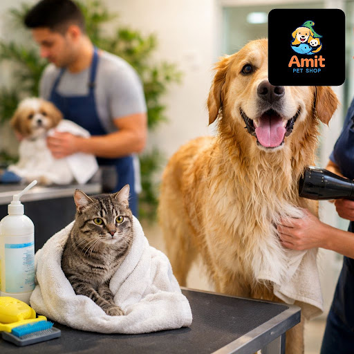 Worried about your furry friend’s health this monsoon? At Amit Pet Shop & fish aquarium & pet gro… post image