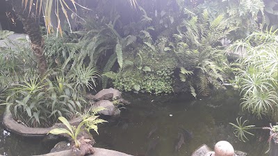 Photos of Municipal Park