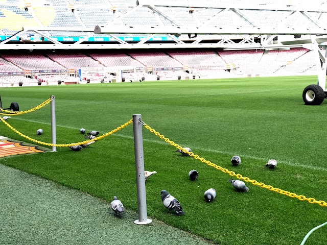 CAMP NOU (FC BARCELONA)