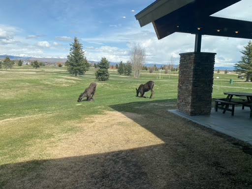 Mallard's Bar and Grill - Located at Rendezvous Meadow Golf Course - Thumbnail
