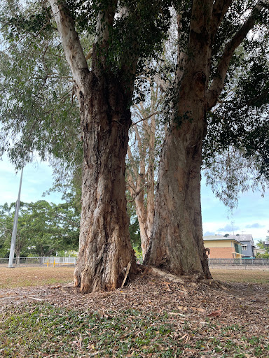 John Egan Park - Visual
