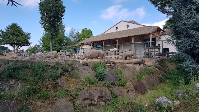 Zoo De Beauval