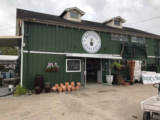 Banting's Nursery