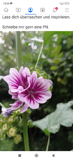 Simone Florales - Thumbnail