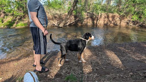 Ballenger Creek Dog Park - Thumbnail
