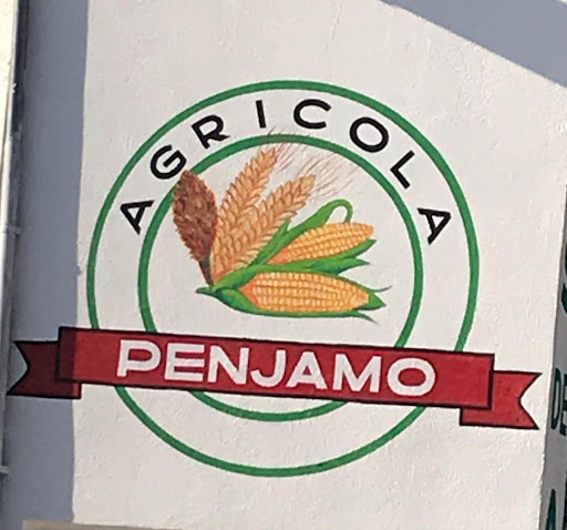 Agricola Pénjamo - Thumbnail