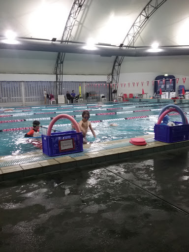 Singleton Gym and Swim Centre - Thumbnail