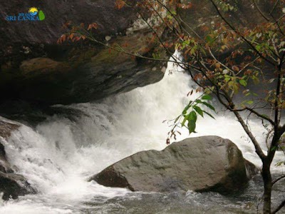 Photos of Dedugala Rock Bungalow