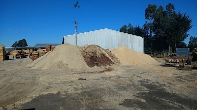Photos of Forestal Andes Ltda.