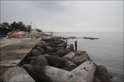 Photos of 천진해변