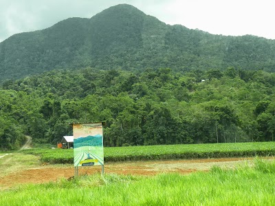Photos of Daintree Wilderness Lodge