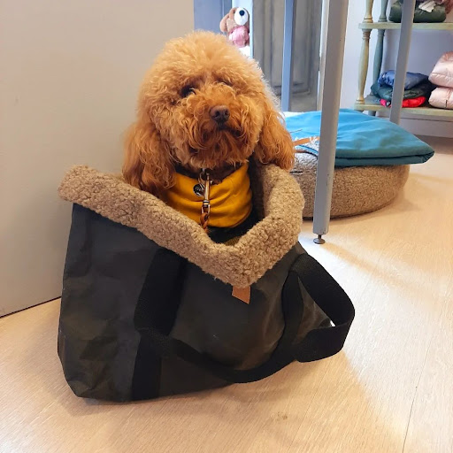 Còco - ALIMENTI E ACCESSORI PER ANIMALI DOMESTICI - Thumbnail
