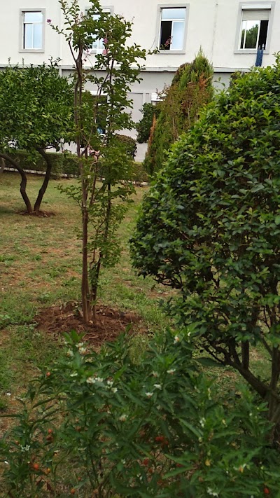 Photos of Spitali Universitar i Traumes
