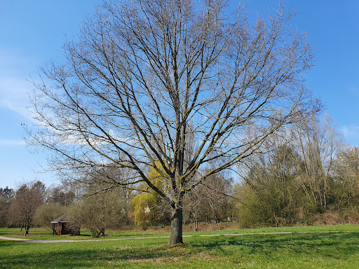 Park links der Weser - Thumbnail