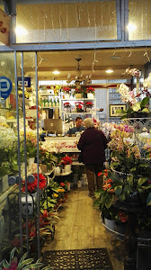 Plaza de Flores - Barranco 1