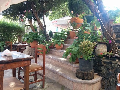 Photos of Vila Cofiel