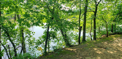 Dark Head Creek Park - Thumbnail