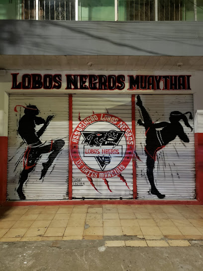 Associação Lobos Negros de Artes Marcias