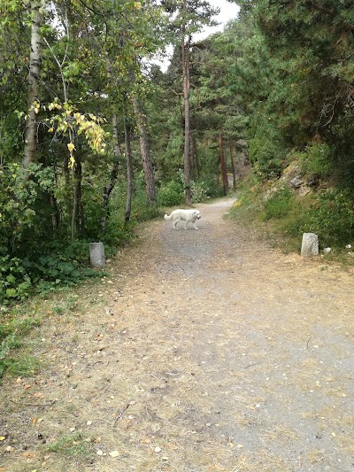 Bois de la Tour e area picnic