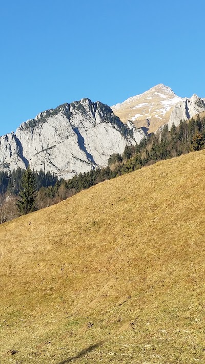 Photos of Campingplatz Schafbergblick