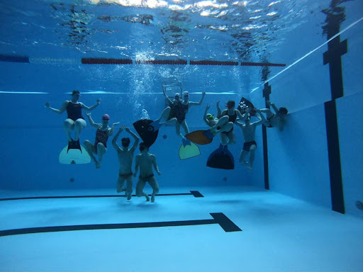 Photo de Pays de Gex Natation à Ornex (01210)