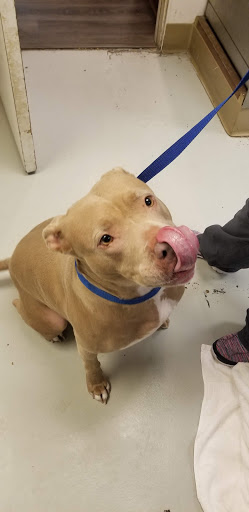 Mission Park Pet Hospital - Thumbnail