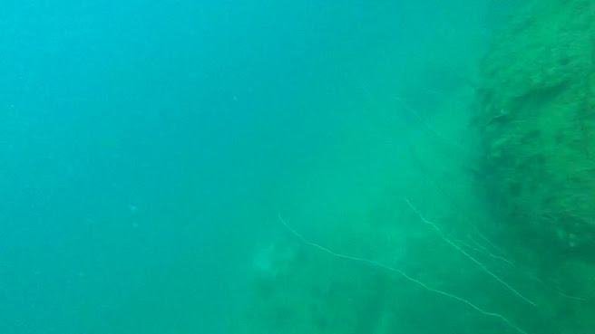 Crystal Dive Koh Tao by null