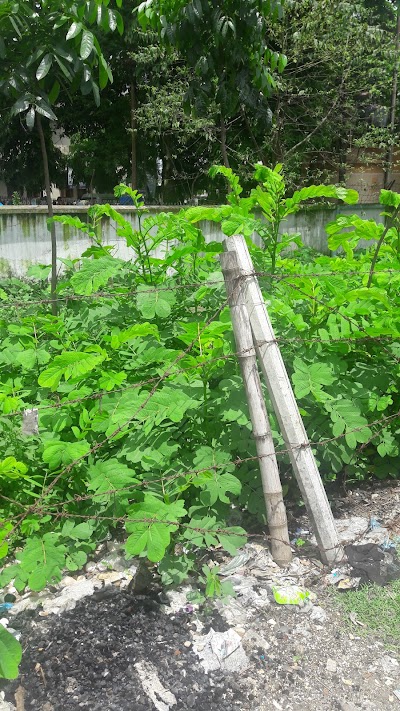 Photos of Thakurgaon Circuit House