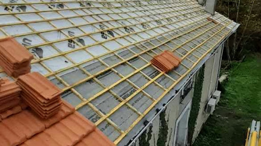 Photo de Artisan peintre 87