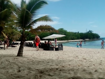 Photos of Sail Saona