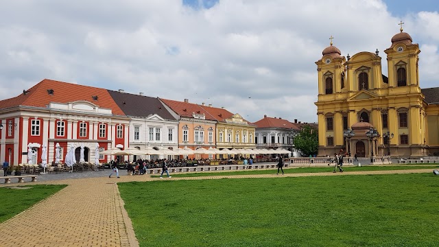 Timișoara