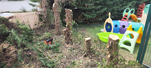 Photo n°10 de Tiffon Laurent à Villenave-d'Ornon (Jardinier)