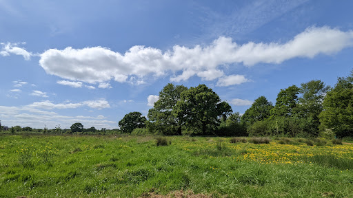 Minerva Country Park