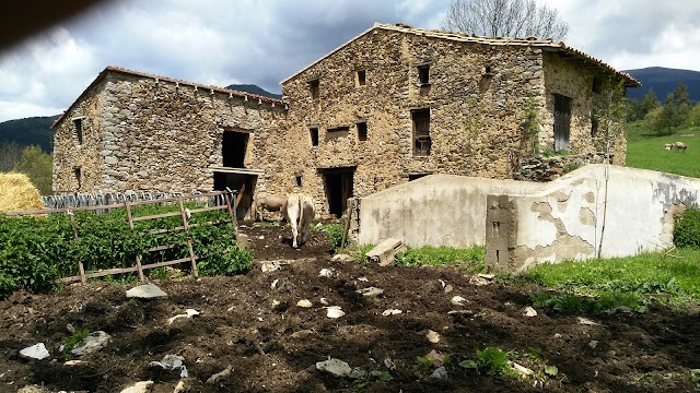 Camping Vall de Ribes
