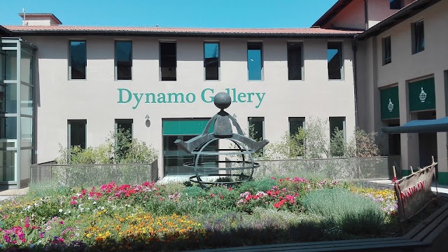 Dynamo Camp