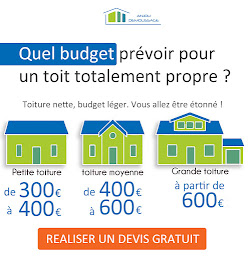 Photo n°17 de Anjou Démoussage | Démoussage & Nettoyage de Toiture et Façade à Loire-Authion (Couvreur)