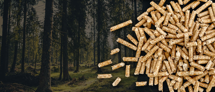 Klein Biobrennstoffe - Dotternhausen