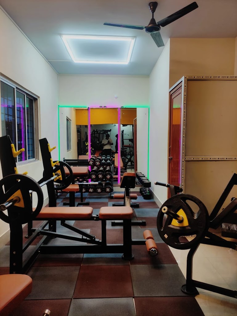 Alpha Core Unisex Gym