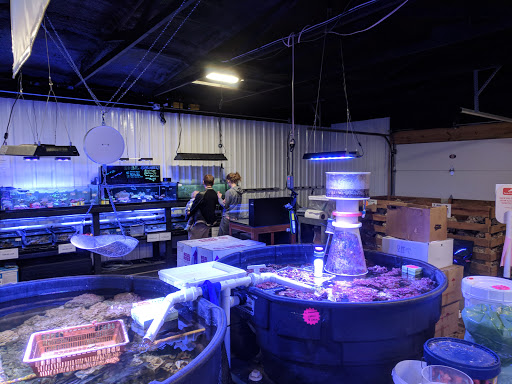 Premium Aquatics