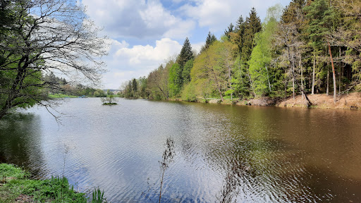 Naturfreibad Kressbachsee - Thumbnail
